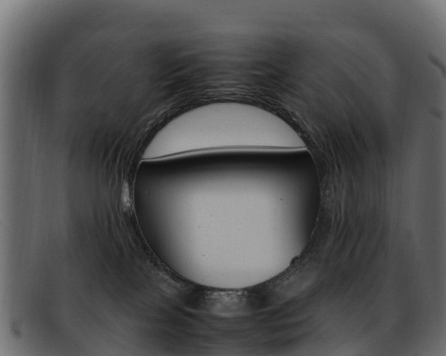 X0000093370089200710111334