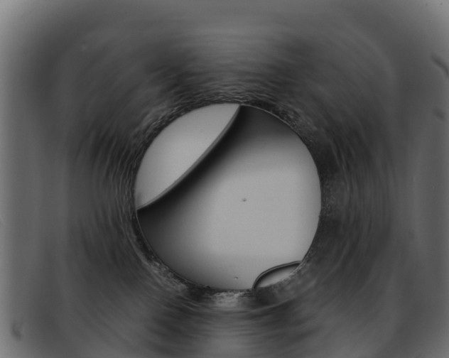 X0000093370090200710111334