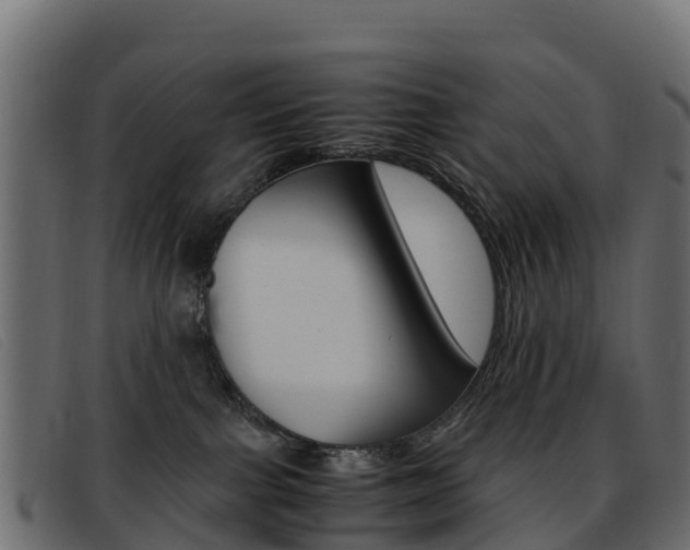 X0000093370091200710111334