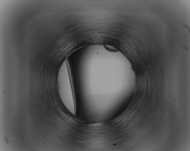 X0000093370092200710111334