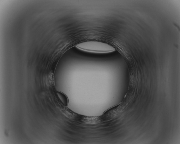 X0000093370093200710111334