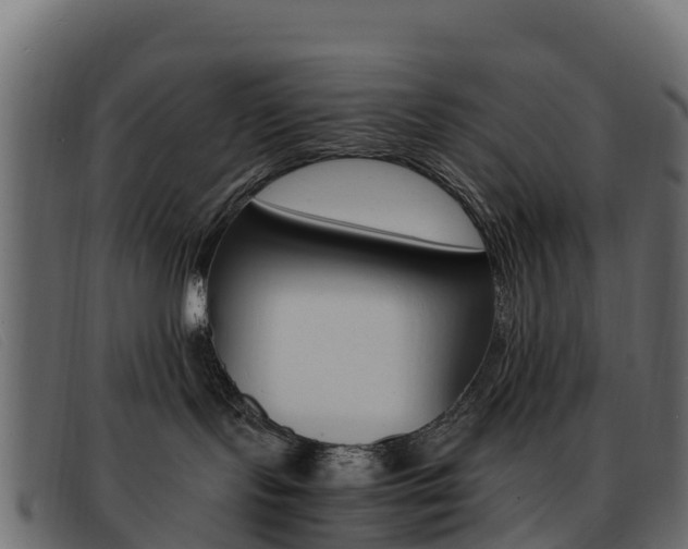 X0000093370095200710111334