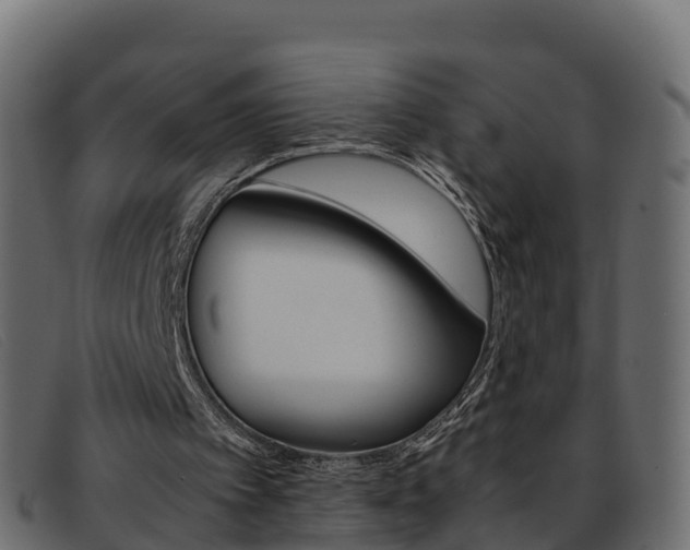 X0000093370097200710111334