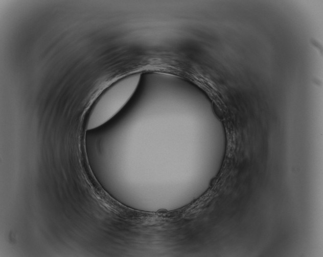 X0000093370098200710111334