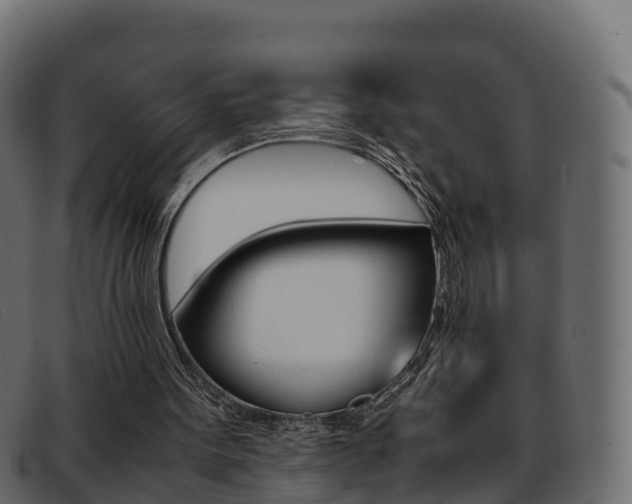 X0000093370099200710111334
