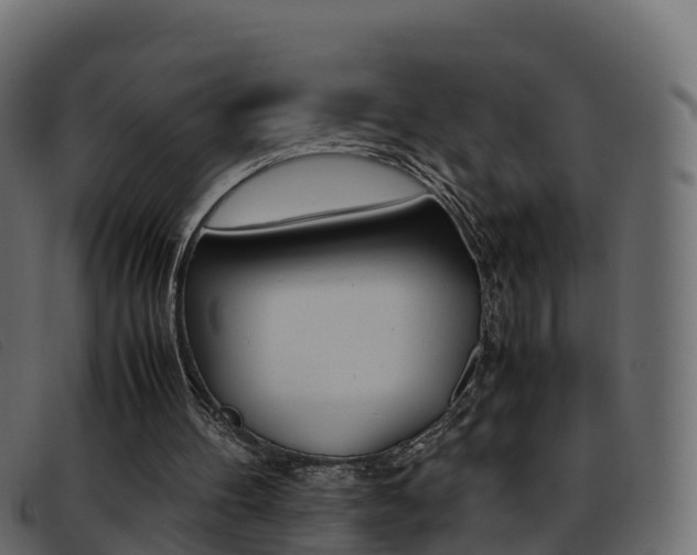X0000093370100200710111334