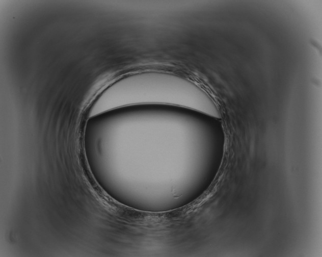 X0000093370101200710111334