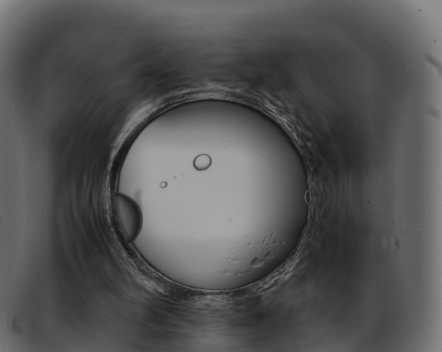 X0000093370102200710111334