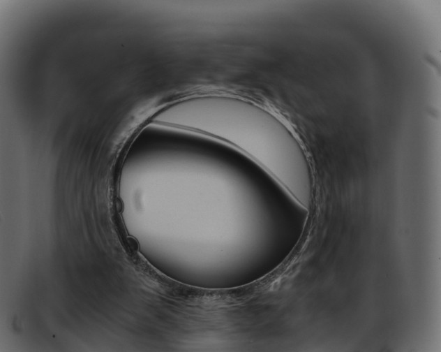 X0000093370103200710111334