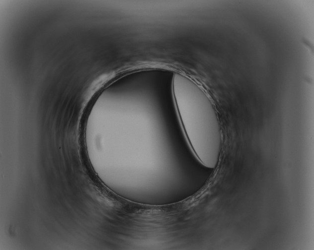 X0000093370104200710111334