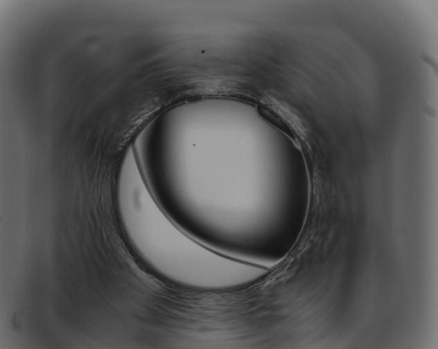 X0000093370105200710111334
