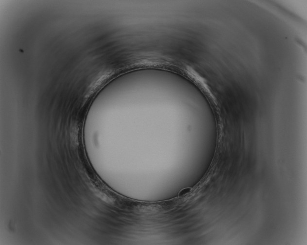 X0000093370106200710111334