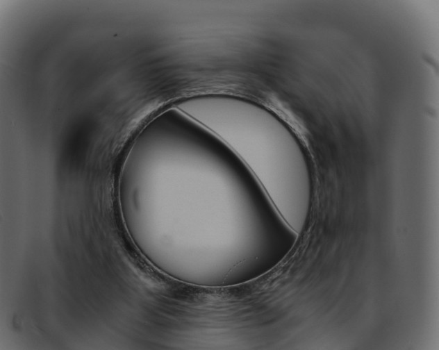 X0000093370107200710111334