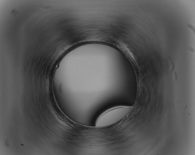 X0000093370108200710111334