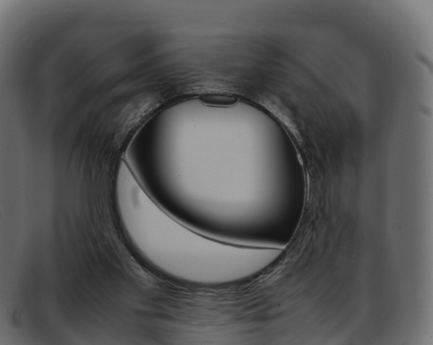 X0000093370109200710111334