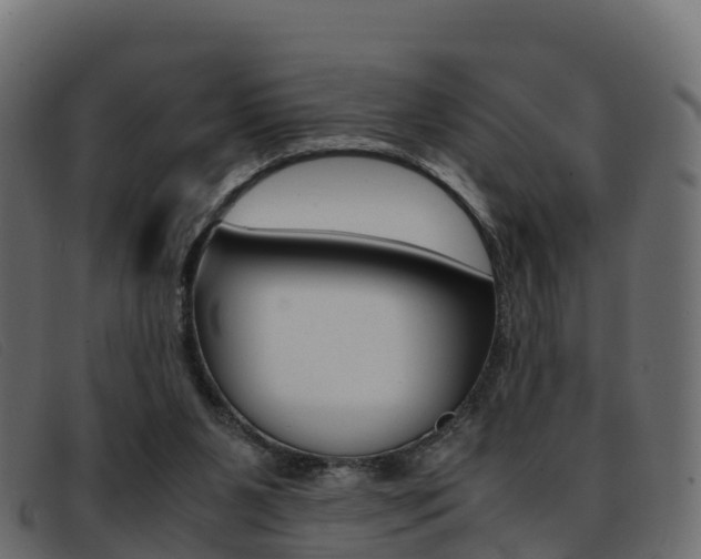 X0000093370111200710111334