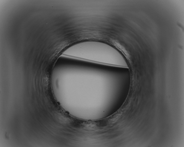 X0000093370113200710111334