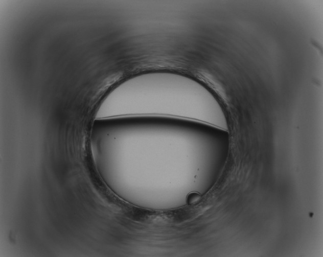 X0000093370115200710111334
