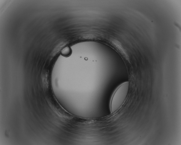X0000093370116200710111334