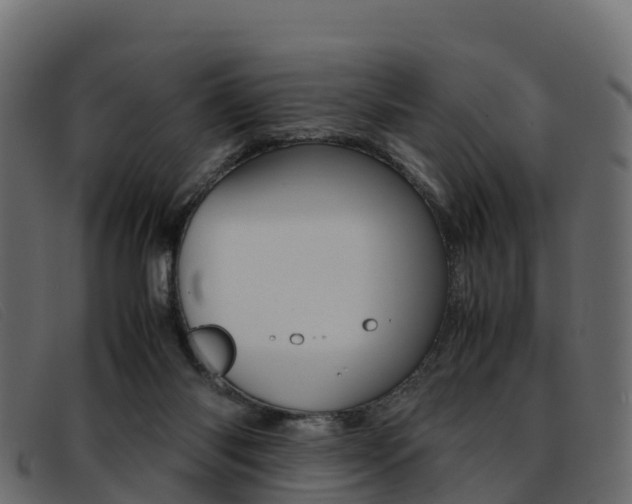 X0000093370118200710111334