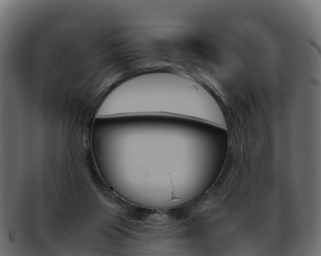 X0000093370119200710111334