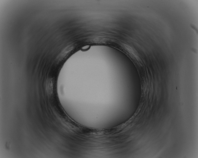 X0000093370120200710111334