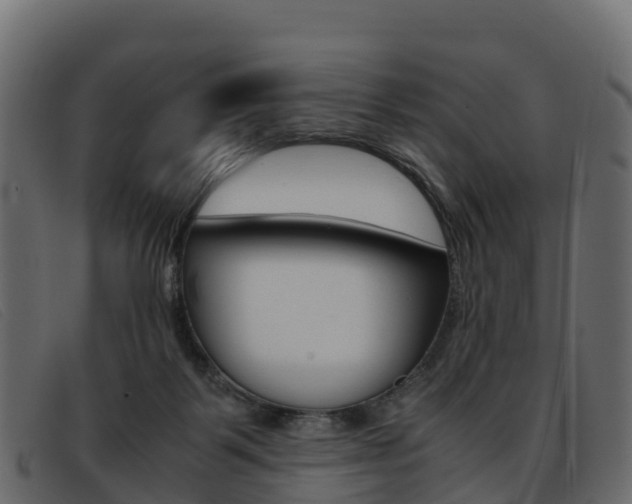 X0000093370123200710111334