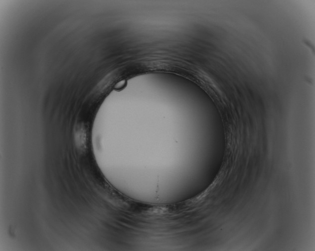 X0000093370124200710111333
