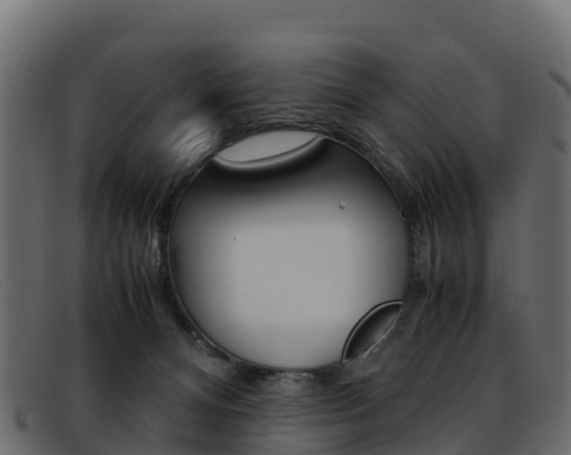 X0000093370128200710111333