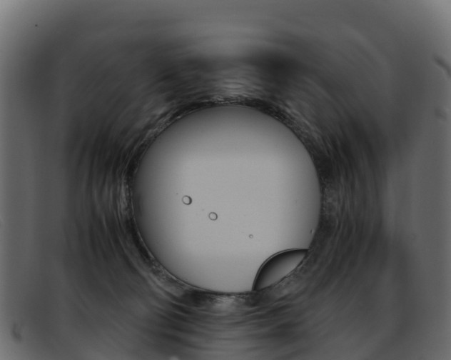 X0000093370130200710111333