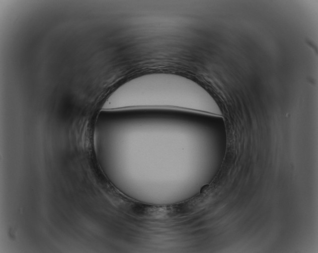 X0000093370131200710111333