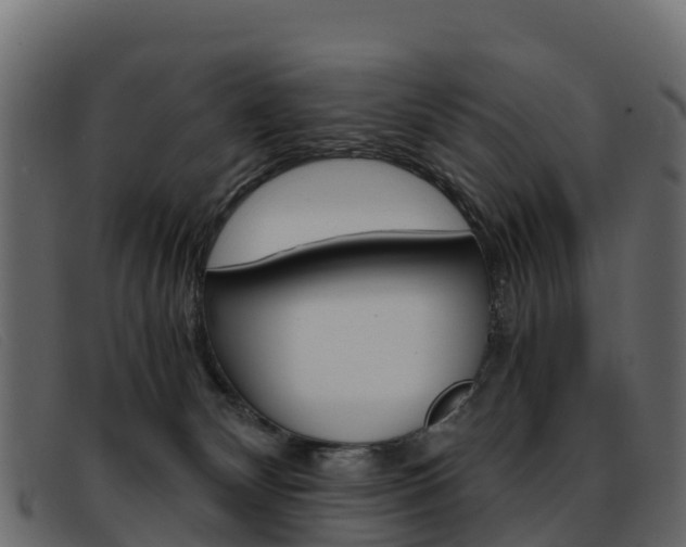 X0000093370132200710111333