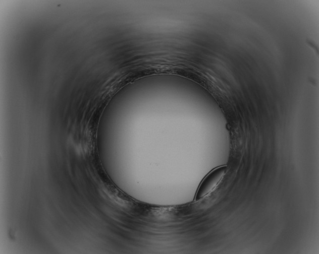 X0000093370136200710111333