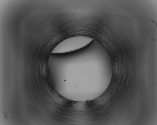 X0000093370138200710111333