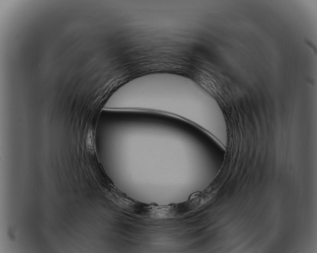 X0000093370143200710111333