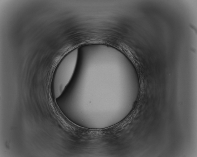 X0000093370145200710111333