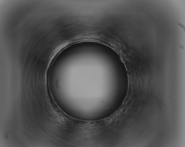 X0000093370148200710111333