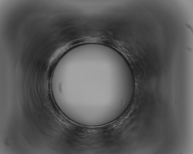 X0000093370149200710111333