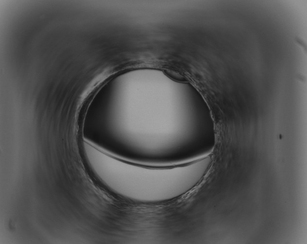 X0000093370150200710111333
