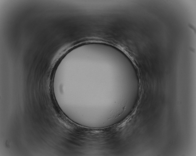X0000093370151200710111333