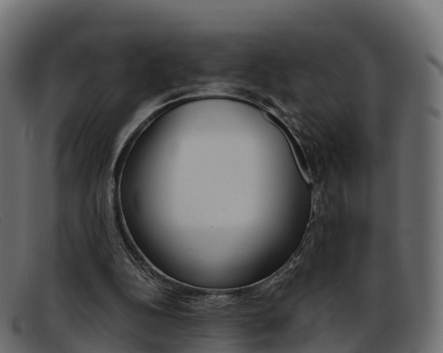 X0000093370152200710111333