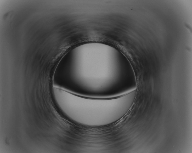 X0000093370154200710111333