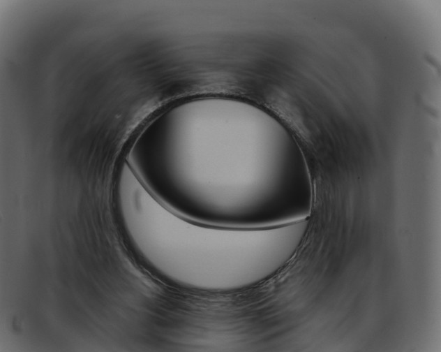 X0000093370156200710111333