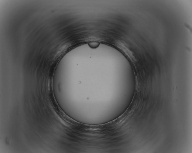 X0000093370157200710111333