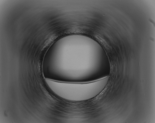 X0000093370158200710111333