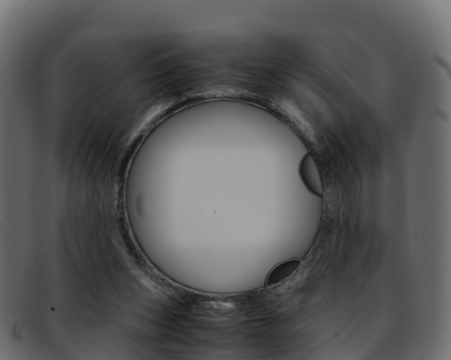 X0000093370159200710111333