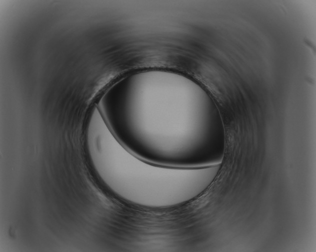 X0000093370160200710111333