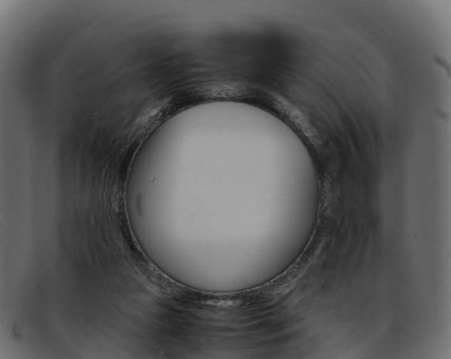 X0000093370161200710111333