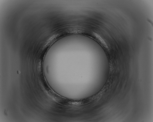 X0000093370163200710111333
