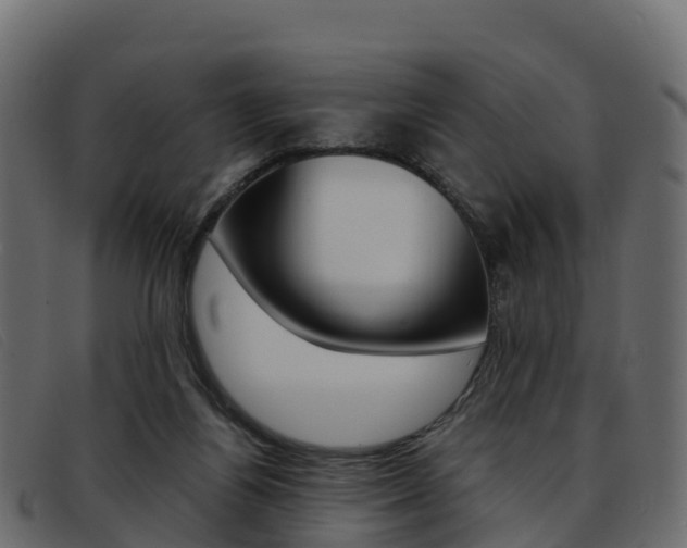 X0000093370164200710111333